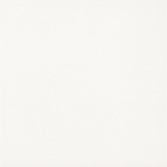 Płytka Podłogowa Gammo Biały Mat 19,8x19,8 Paradyż