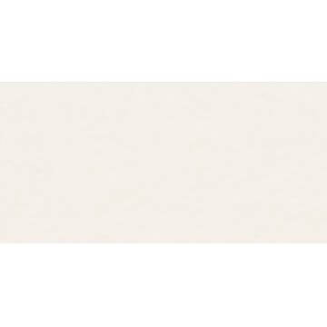 Płytka Gresowa Wide&Style Mini Snow Rect. 60x120 ABK Ceramiche