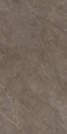 Płytka Podłogowa Ash Brown 119,7x59,7 Ceramica Limone