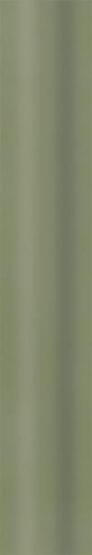 Kształtka Green Philosophy Olive Mat 29,8x5 Paradyż My Way
