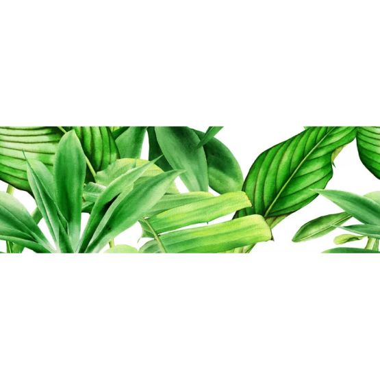 Dekor Garden Tropic A 75x25 Ceramica Bianca
