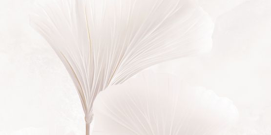 Dekor Ścienny Albiano MBL Leaves Left D Lappato 119,8x59,8 Tubądzin