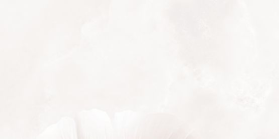 Dekor Ścienny Albiano MBL Leaves Left E Lappato 119,8x59,8 Tubądzin