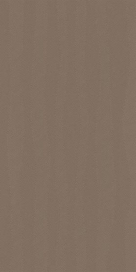 Dekor Ścienny Calm Taupe Połysk 29,8X59,8 Paradyż