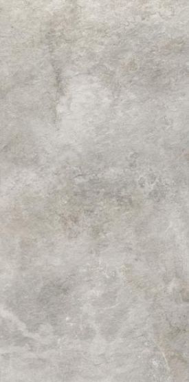 Płytka Tarasowa Burlington 2.0 Silver Struktura Mat 59,5x119,5 cm Paradyż