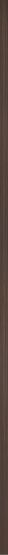 Listwa Ścienna Steel Antique Bronze Satyna 119,8x2 Tubądzin