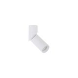ELARIS WHITE S LAMPA SUFITOWA 1X GU10 MINI MR11