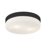 mini: PORI BLACK PLAFON ĹAZIENKOWY 2XE27 IP 44 (5)