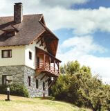 Kamień Dekoracyjny Castello Argento 56,0x22,0 Maxstone