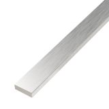 mini: Listwa Ścienna Metallic Silver 120x2,5 Cerrad (1)