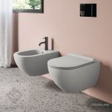 Miska Z Deską Wolnoopadającą Colori Szary Mat 54x35 1VSF54RCS+KFST00+5SCSTPCS Catalano