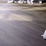 Panel Winylowy Grizzly Adventure Bankster G002 Republic