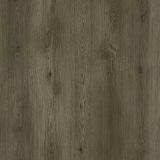 Panel Winylowy Grizzly Adventure Bankster G002 Republic