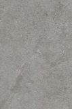 Płytka Authority Grey Mat 59,8X89,8 Paradyż