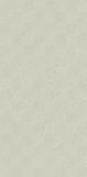 Dekor Bergdust White Mat 29,8x59,8 Paradyż Classica