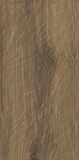 Płytka Carrizo Wood Struktura 30X60 Paradyż