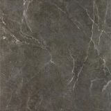 Płytka Ibis Antracite Mat 60x60 Paradyż