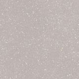 Płytka Macroside Silver Mat 59,8X59,8 Paradyż