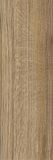 Płytka Oldwood Honey Mat Struktura 20x60 Paradyż Classica