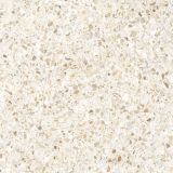 Płytka Podłogowa Arch Beige 59,7x59,7 Cerrad