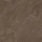 Płytka Podłogowa Coffee Field Brown 119,8x119,8 Paradyż