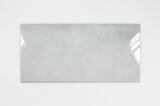 Płytka Podłogowa Formia Grey Pol 119,8x59,8 Tubądzin