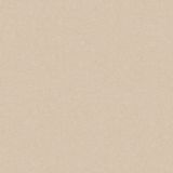 Płytka Podłogowa Monolight Exterior Beige 59,7x59,7 Cerrad