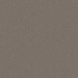 Płytka Podłogowa Monolight Exterior Brown 59,7x59,7 Cerrad