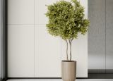 Płytka Podłogowa Monolight Exterior White 59,7x59,7 Cerrad