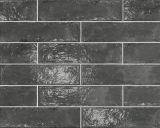 mini: Płytka Ścienna Palette Graphite 30x7,4 Cerrad (2)