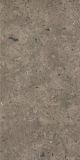 Płytka Starlight Antracite Mat 30x60 Paradyż