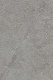 Płytka Tarasowa Authority Grey Mat 59,5X89,5 Paradyż