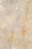 Płytka Tarasowa Burlington Ivory Mat 59,5x89,5 Paradyż