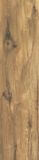 Płytka Tarasowa Rustland Brown Mat Struktura 29,5x119,5 Paradyż
