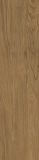 Płytka Tarasowa Trueland Honey Mat 29,5X119,5 Paradyż