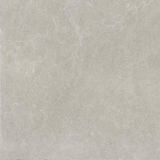 Płytka U118 Light Grey Mat 59,8X59,8 Paradyż
