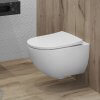 muszla wiszaca gebarit rimfree