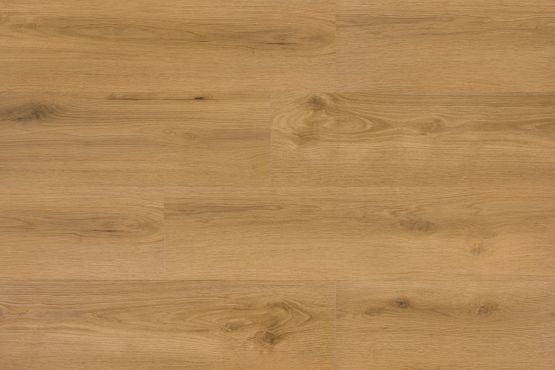 Panel Winylowy Dryback Deska Warp 2,5x228x1218 GTDBAUCC010 Gt Flooring