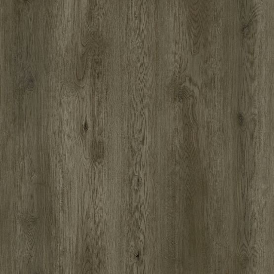 Panel Winylowy Grizzly Adventure Bankster G002 Republic