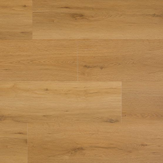 Panel Winylowy Grizzly Adventure Hype G016 Republic