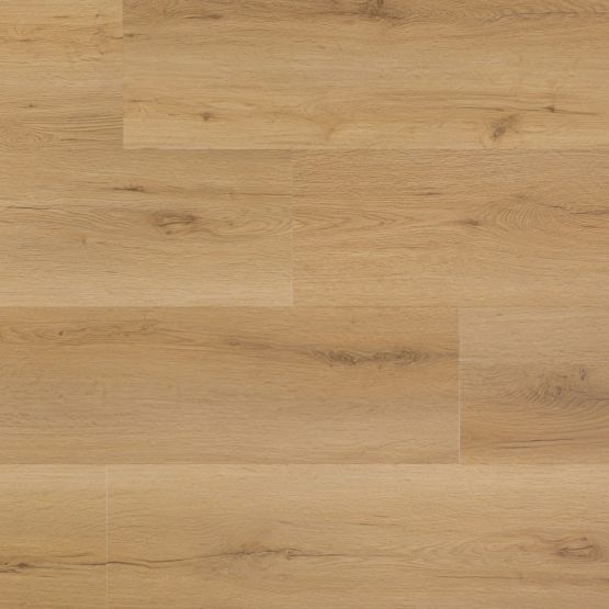 Panel Winylowy Grizzly Adventure Woke G017 Republic