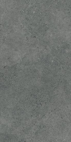 Płytka Authority Graphite Mat 60X120 Paradyż