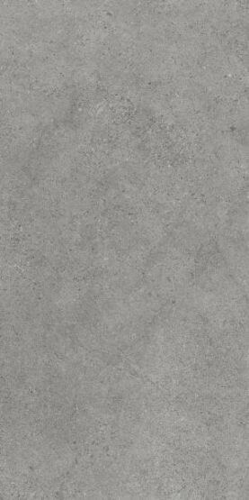 Płytka Authority Grey Mat 119,8x59,8 Paradyż My Way