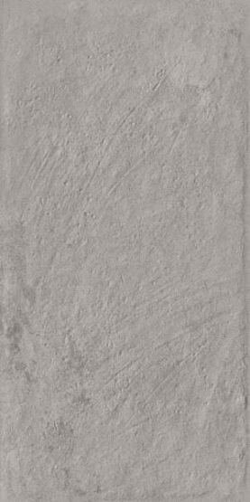 Płytka Carrizo Grey Struktura 30X60 Paradyż