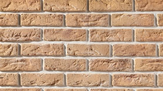 Płytka Cegłopodobna Cambridge 3 20,8x6,3 cm Stegu