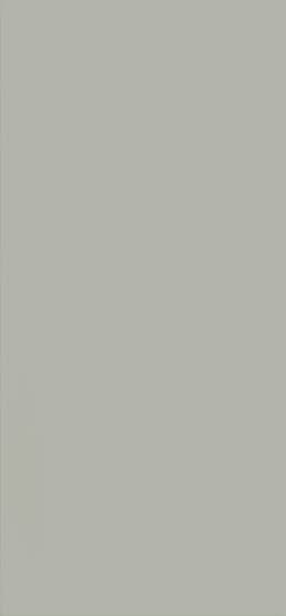 Płytka Neve Grys Mat 30x60 Paradyż