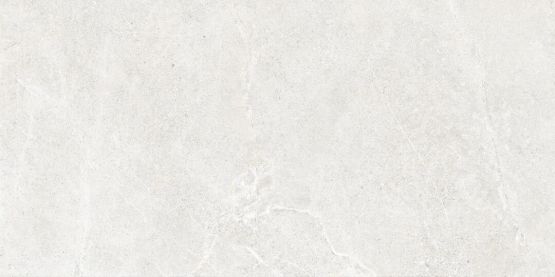 Płytka Podłogowa Distinct Ice 119,7x59,7 Cerrad