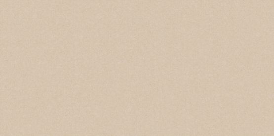 Płytka Podłogowa Monolight Exterior Beige 119,7x59,7 Cerrad