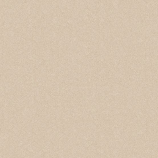 Płytka Podłogowa Monolight Exterior Beige 59,7x59,7 Cerrad
