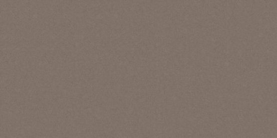 Płytka Podłogowa Monolight Exterior Brown 119,7x59,7 Cerrad